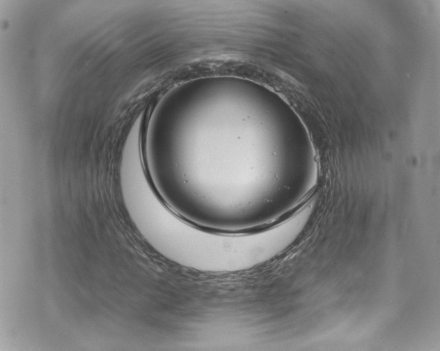 X0000070831014200606161058