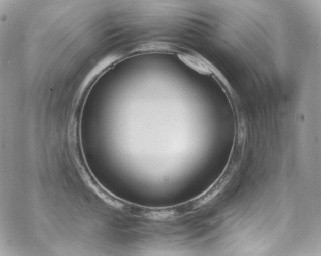 X0000070831053200606161058