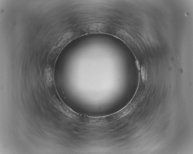 X0000070831107200606161056