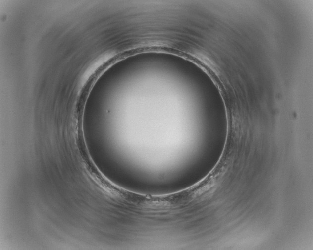 X0000070831119200606161056
