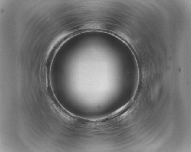 X0000070831123200606161056