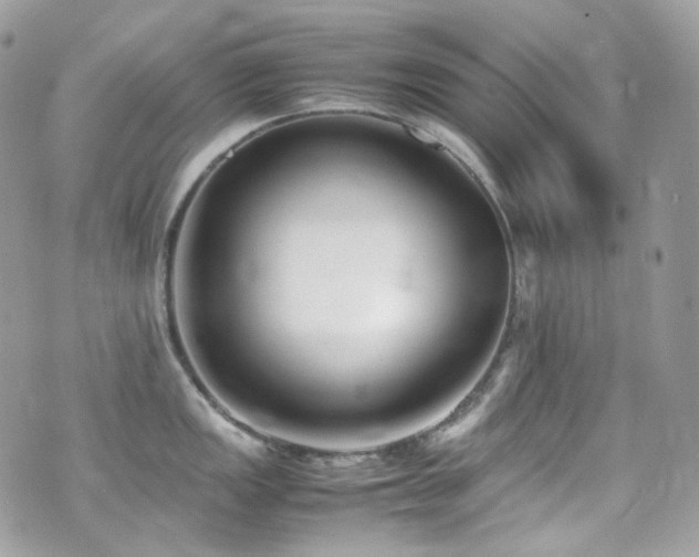 X0000070831149200606161057