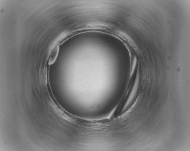 X0000070831180200606161055