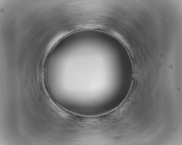 X0000070831187200606161055