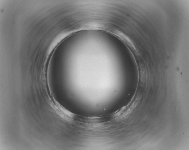 X0000070831192200606161055