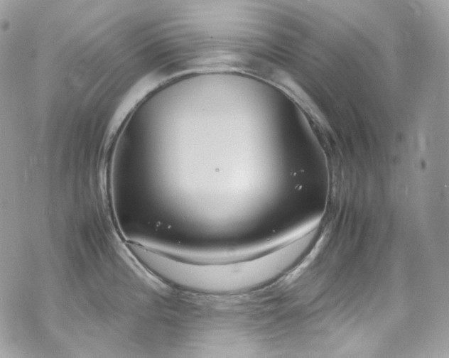 X0000070831196200606161055