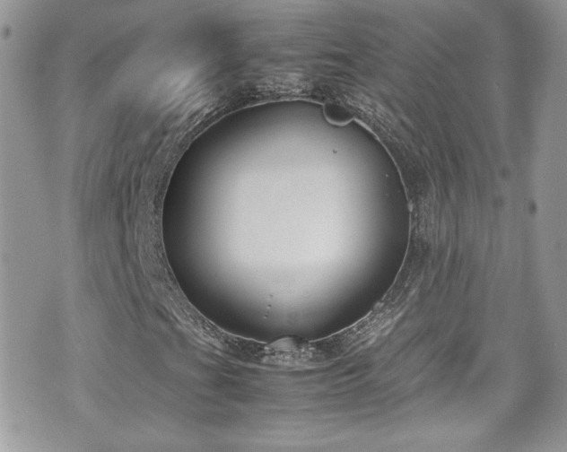 X0000070831201200606161054