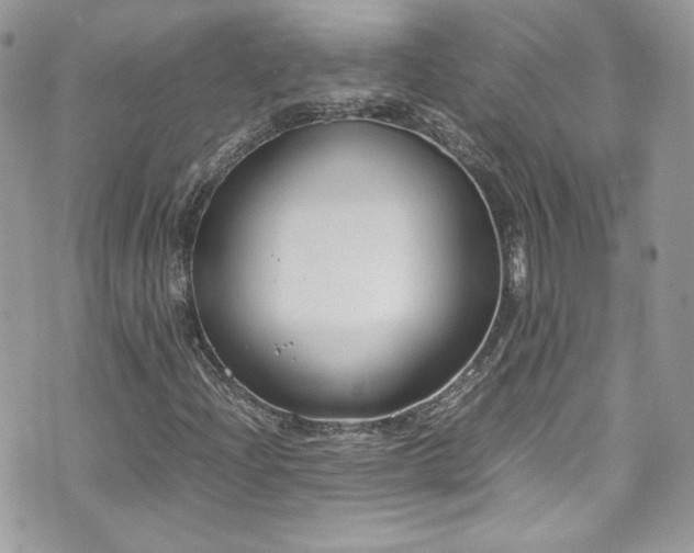 X0000070831204200606161054