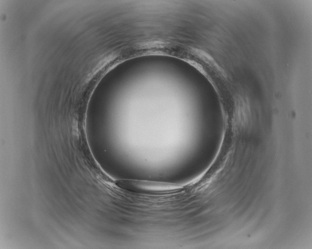 X0000070831209200606161055