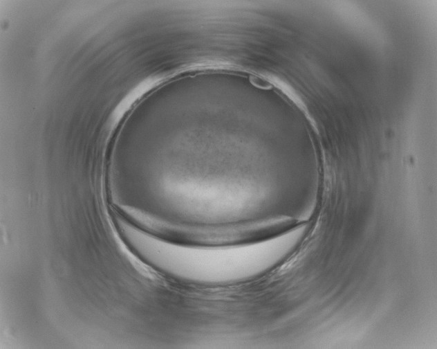 X0000070831245200606161055