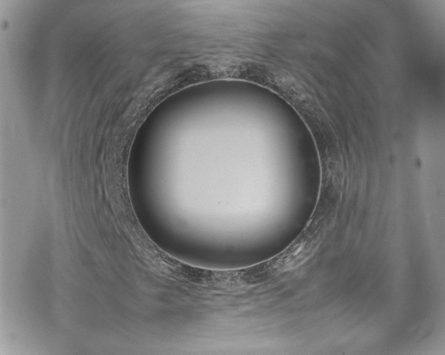 X0000070831249200606161054