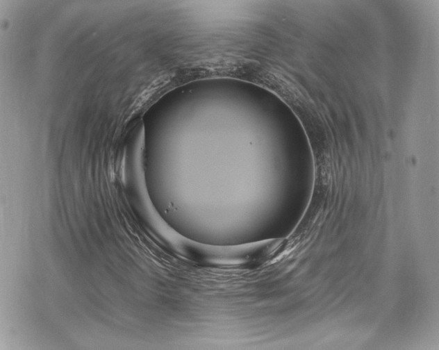 X0000070831298200606161053