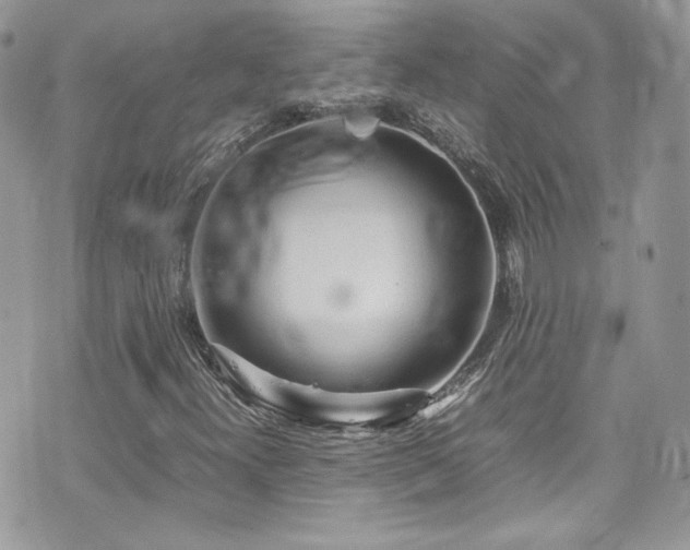 X0000070831300200606161053