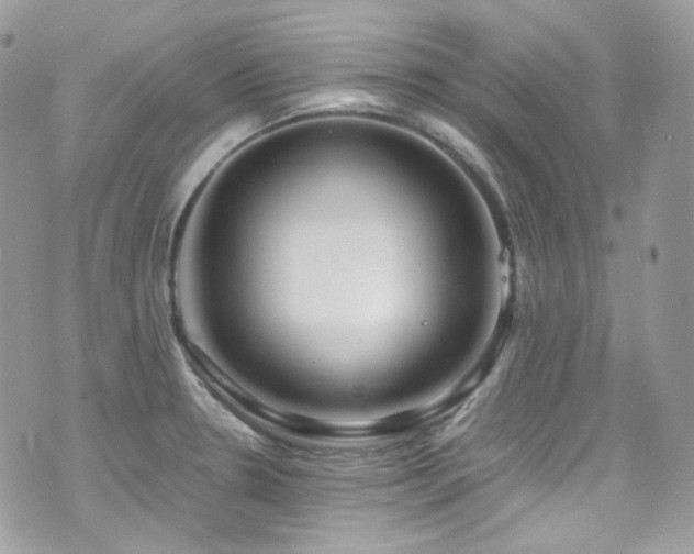 X0000070831330200606161053