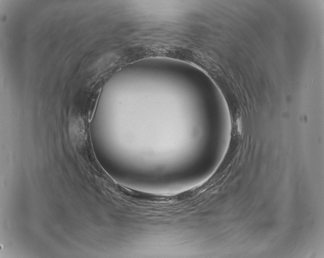 X0000070831347200606161053