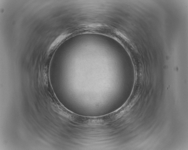 X0000070831354200606161053