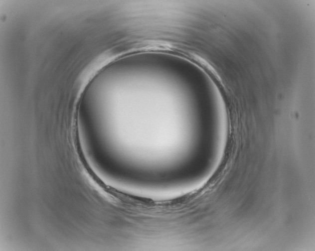 X0000070831379200606161052