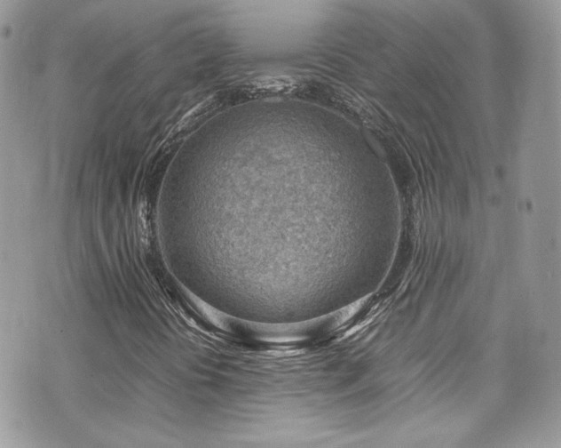 X0000070831394200606161051