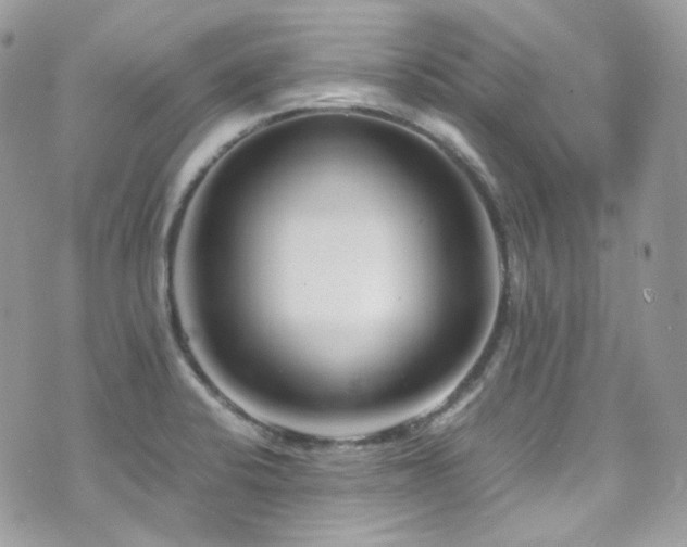 X0000070831424200606161052