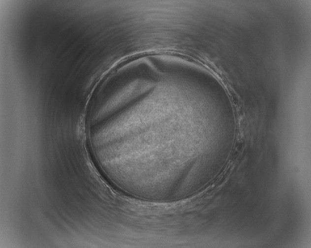 X0000070830002200606191300