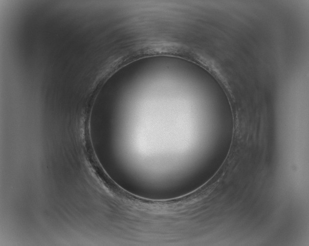 X0000070830010200606191300
