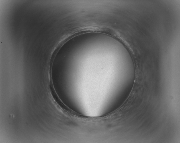 X0000070830011200606191300