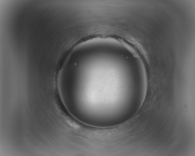 X0000070830017200606191300