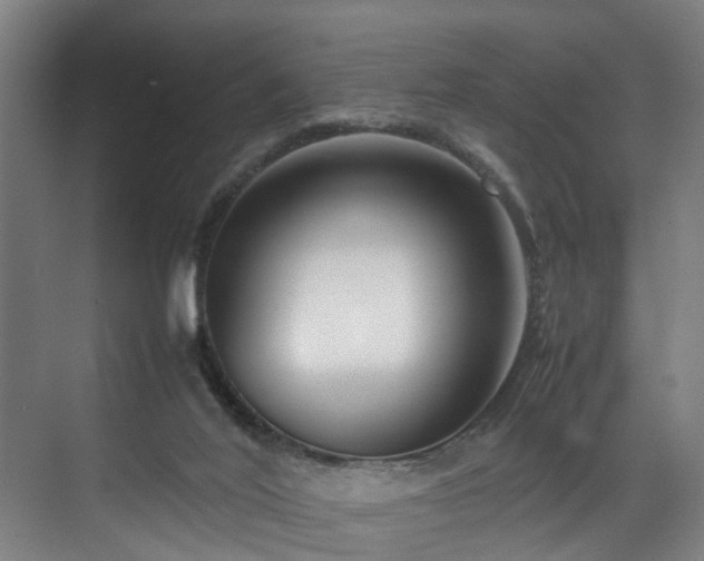 X0000070830020200606191300