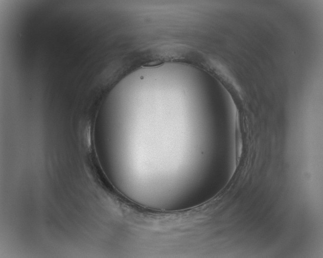X0000070830021200606191300