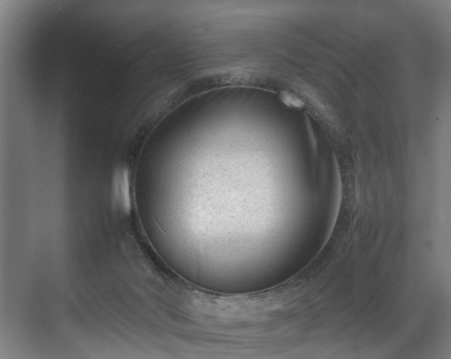 X0000070830022200606191300