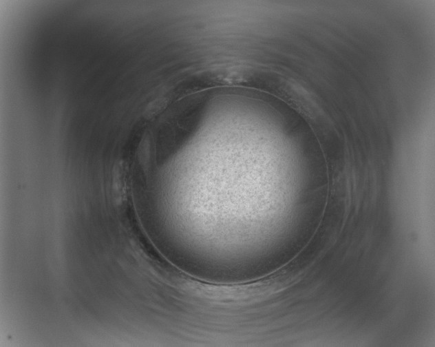 X0000070830030200606191300