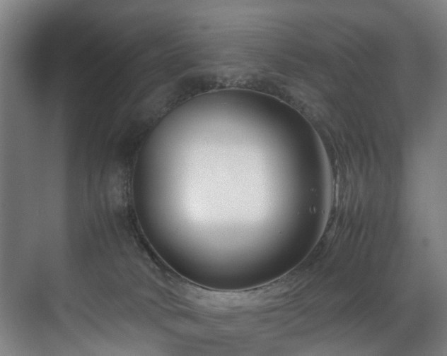 X0000070830034200606191300