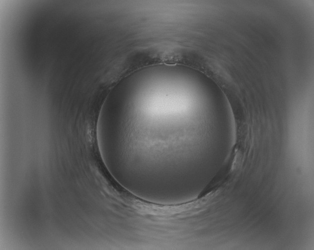 X0000070830039200606191300