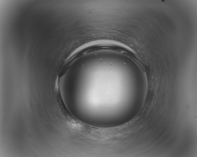 X0000070830041200606191300