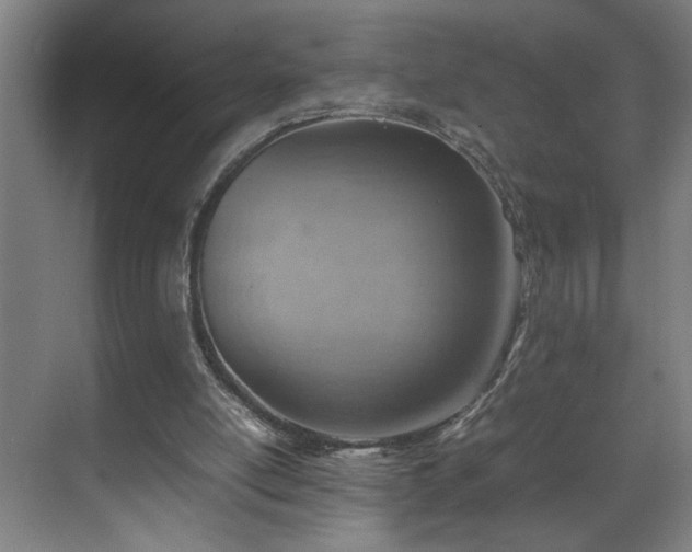 X0000070830054200606191259