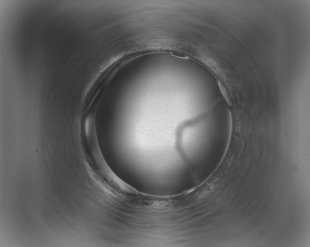 X0000070830060200606191259
