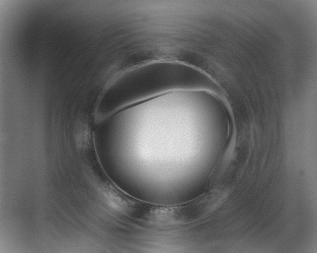 X0000070830084200606191259