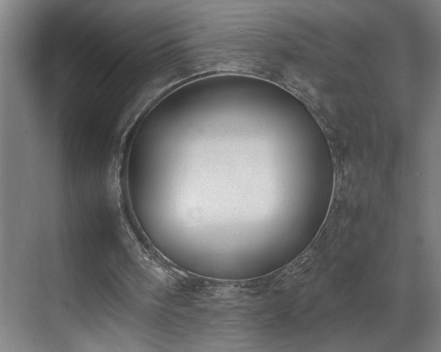X0000070830098200606191259