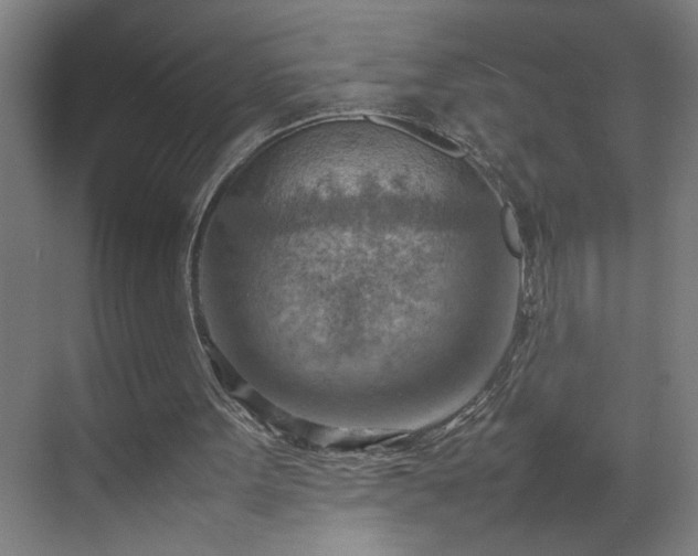 X0000070830099200606191259
