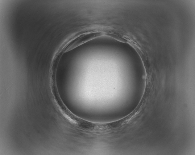 X0000070830101200606191259