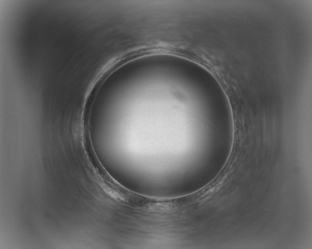 X0000070830102200606191259
