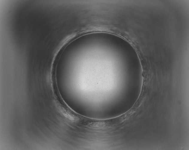 X0000070830104200606191259