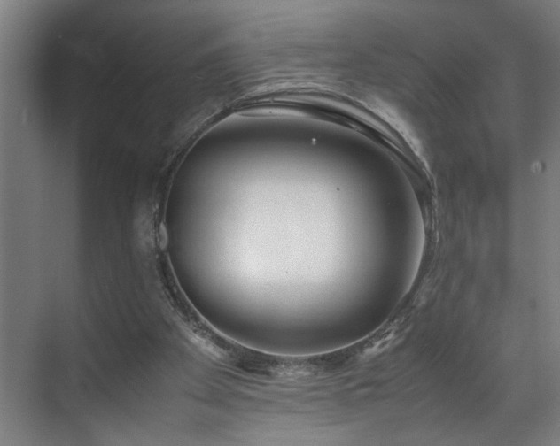 X0000070830105200606191259