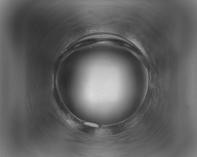 X0000070830109200606191258