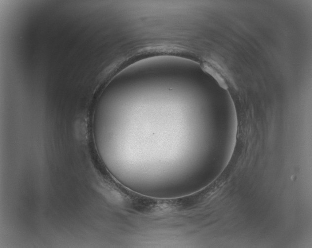X0000070830111200606191258