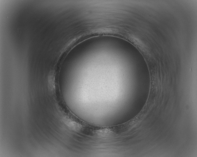 X0000070830112200606191258