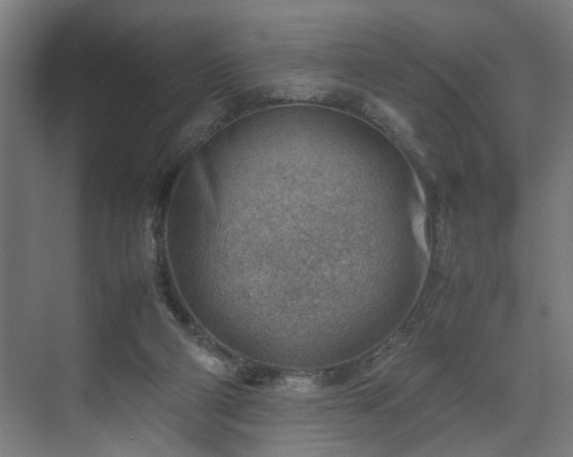 X0000070830114200606191258