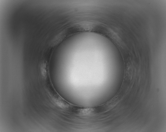 X0000070830122200606191258