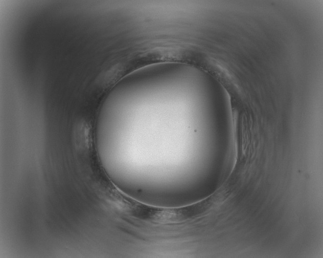 X0000070830123200606191258