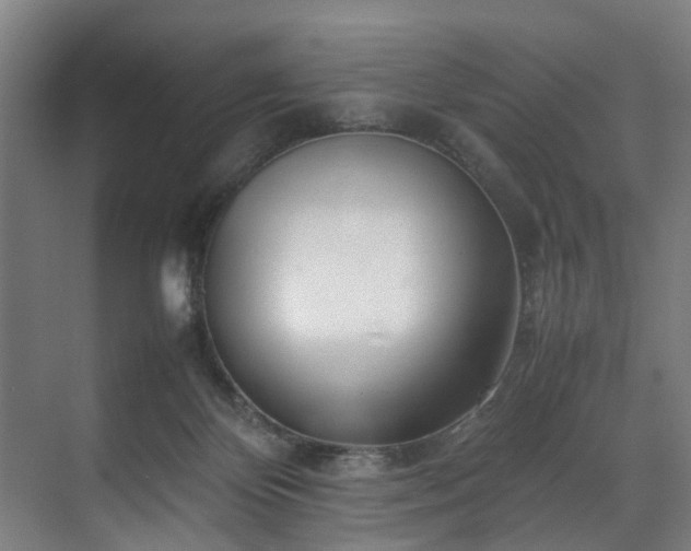 X0000070830124200606191258